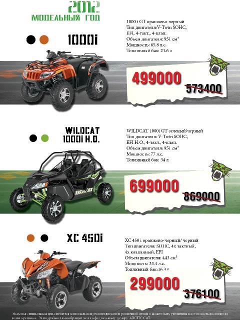 Arctic Cat «ДИКИЕ ДНИ»