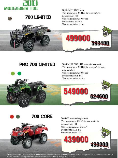 Arctic Cat «ДИКИЕ ДНИ»